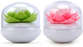 Bloss QTip Cotton Swab Holder Set by Bloss