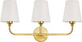 Bathroom Vanity Light, Brushed Gold Bathroom Light Fixtures, 3-Light Lighting by Kvhiiw
