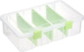 BTSKY Clear Plastic Dividing Storage Box by BTSKY