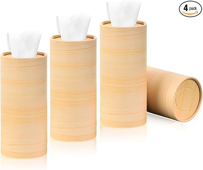 4 PCS Car Tissue Holder, Quick Convenient Refill Cylinder Facial Tissue Holder by Unknown