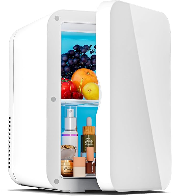 8L Portable Mini Fridge Cool and Warm Dual Function Compact Refrigerator 0-10°C by JrostKault