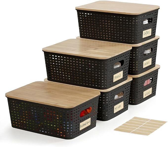 Small Plastic Storage Bins by Bagnizer