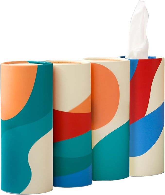 Small Car Tissues Holder with Facial Tissues by WinooDesign