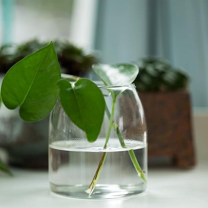 1 Pack 5.5 In Glass Storage Container, Ball Cork Jar Decorative Organizer - Image 4