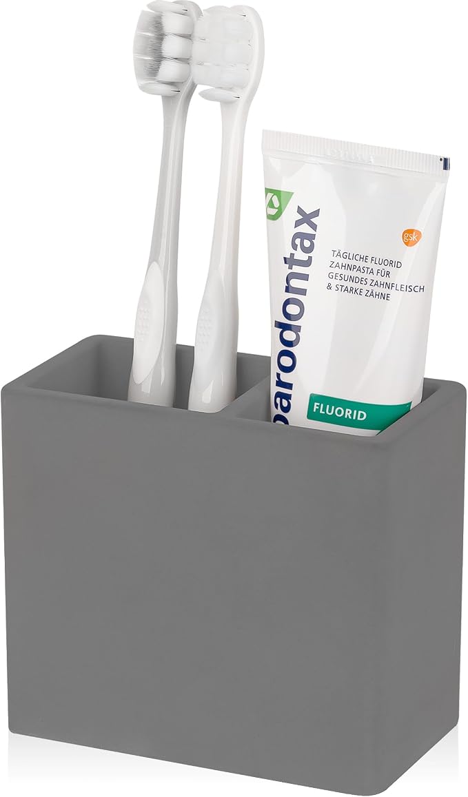 Diatomite Toothbrush Holder 2 Slots Tooth Brush Holder by Heagoale