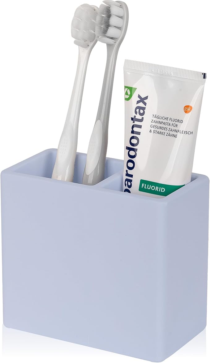 Diatomite Toothbrush Holder 2 Slots Tooth Brush Holder by Heagoale