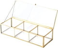 Vintage Golden Glass Lidded Box Clear Glass & Brass Metal Storage Jewelry and by alchemistextendthebrightlife