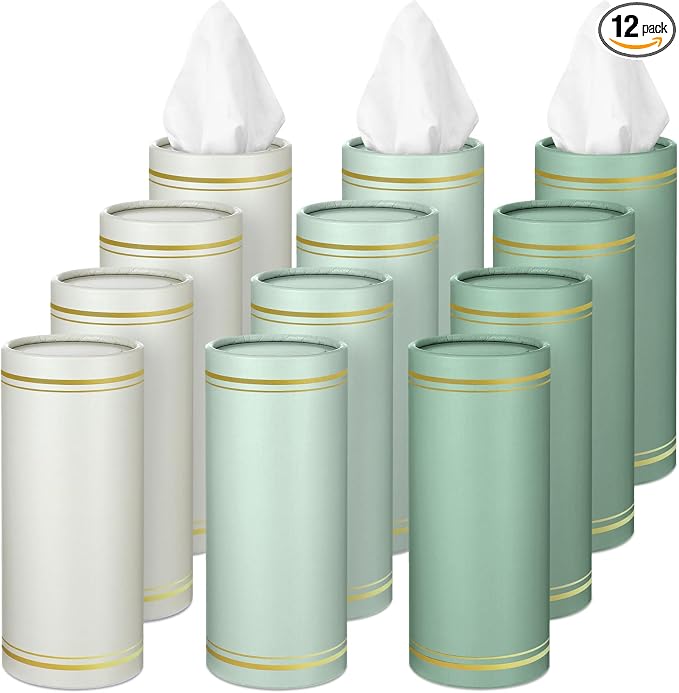 12 Pack Car Tissue Cylinder Holder Bulk by Fourluoo