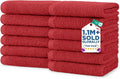 DAN RIVER 12 Pack Wash Cloths for Showering by DanRiver
