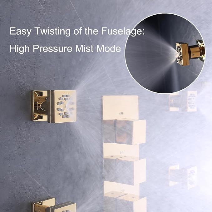 Polished Gold Shower Jet - Image 2