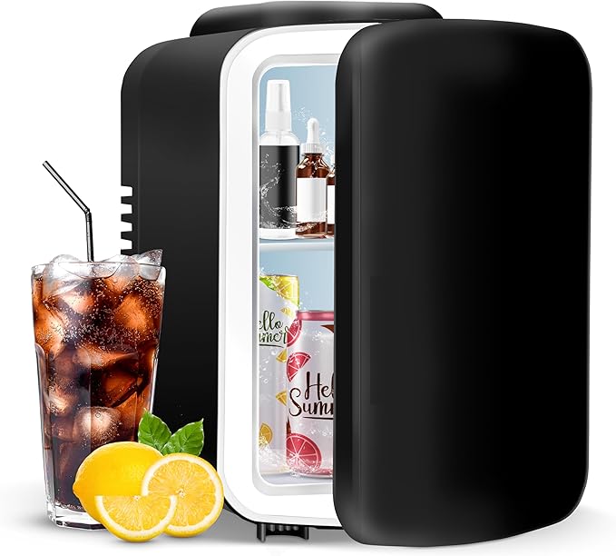YSSOA 4L Mini Fridge 6 Can Portable Cooler & Warmer Compact Refrigerators by YSSOA