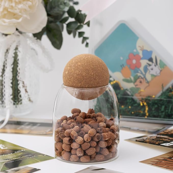1 Pack 5.5 In Glass Storage Container, Ball Cork Jar Decorative Organizer - Image 3