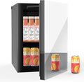 Beverage Refrigerator with Mirrored Front Door, 0.9 Cubic Feet/24 Cans Fridge by Erivess
