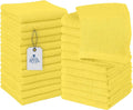 DAN RIVER 24 Pack Wash Cloths for Showering by DanRiver