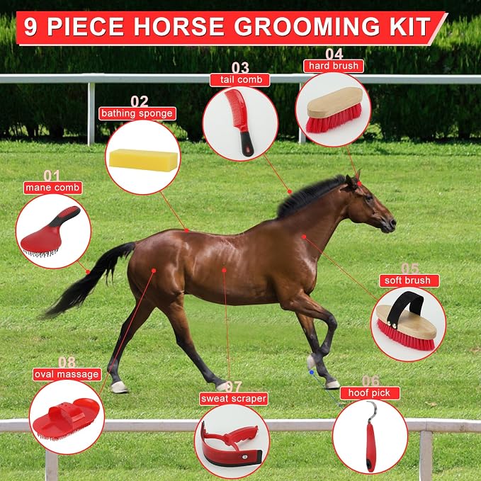 9 Pieces Grooming Kit with Tote Bag - Image 3