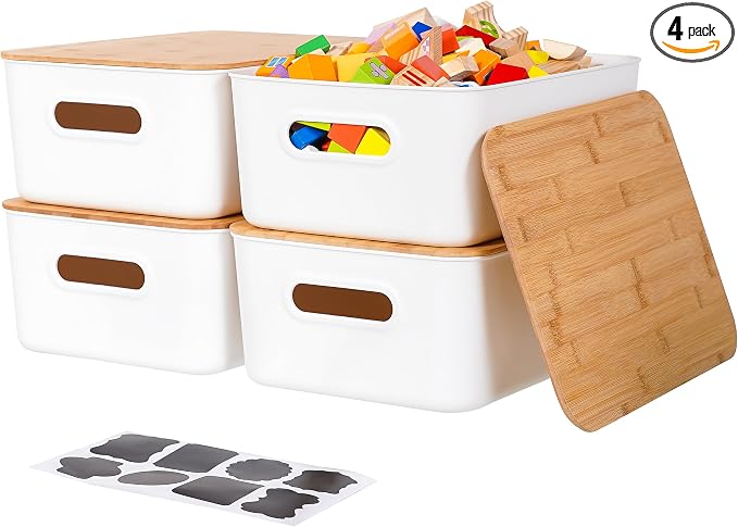 Citylife 4 PCS Storage Bins by Anywish