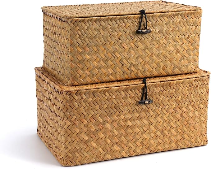 Nonam Storage Basket with Lid, Natural Seagrass Bin with Lid Set of 2, Shelf by Unknown