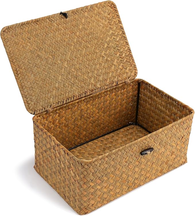 Nonam Small Basket with Lid, Natural Seagrass Bin with Lid, Shelf Baskets by Unknown