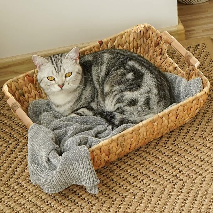StorageWorks Hand-Woven Storage Baskets - Image 8