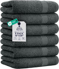DAN RIVER 6-Pack Premium Hand Towels by DanRiver