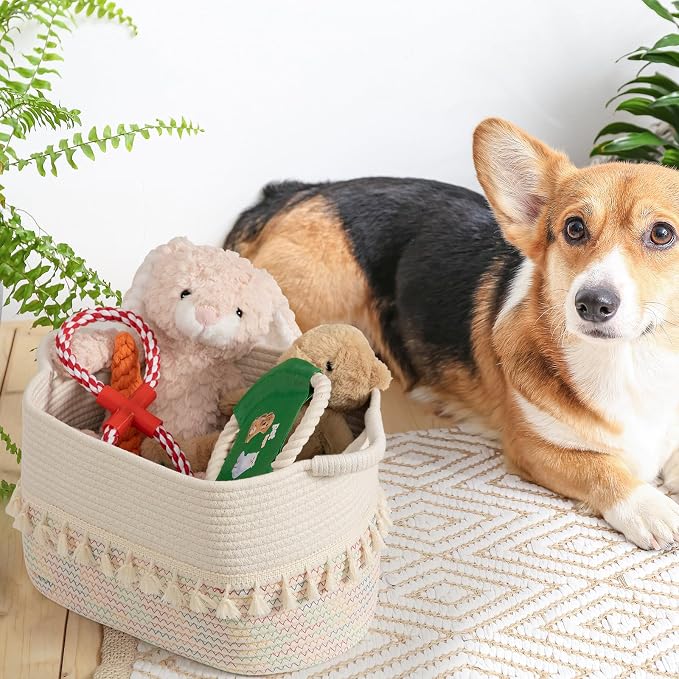 TeoKJ Woven Baskets for Storage, Cute Baskets for Organizing in Classroom - Image 8