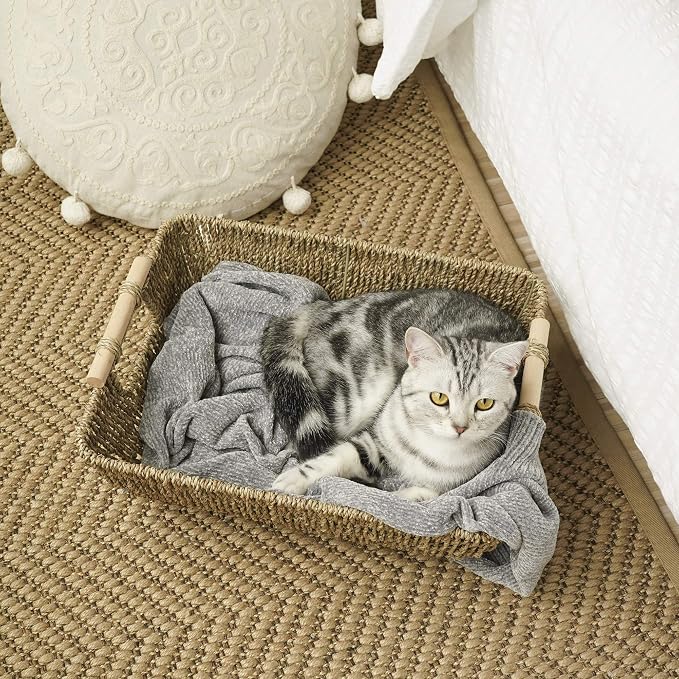 StorageWorks Hand-Woven Jumbo Storage Baskets - Image 8