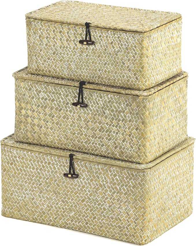 Nonam Storage Basket with Lid, Natural Seagrass Bin with Lid Set of 3, Shelf by Unknown